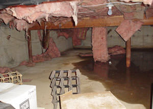 fiberglass insulation dripping off the ceiling of a crawl space in North Vancouver.