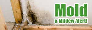 Home mold in Anmore