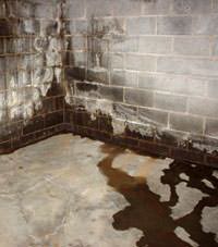 Water seeping through a concrete wall in a Cultus Lake basement