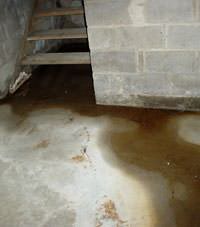Flooding floor cracks by a hatchway door in Agassiz